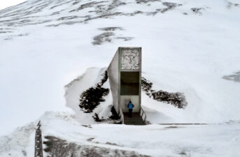 50,000 Seeds Deposited to ‘Doomsday Vault’ Housing World’s Largest Collection of Crop Diversity