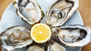 Can Eating Oysters Make You Sick?