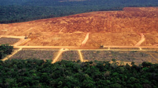 Amazon Rainforest Deforestation Hits Highest Rate in 10 Years