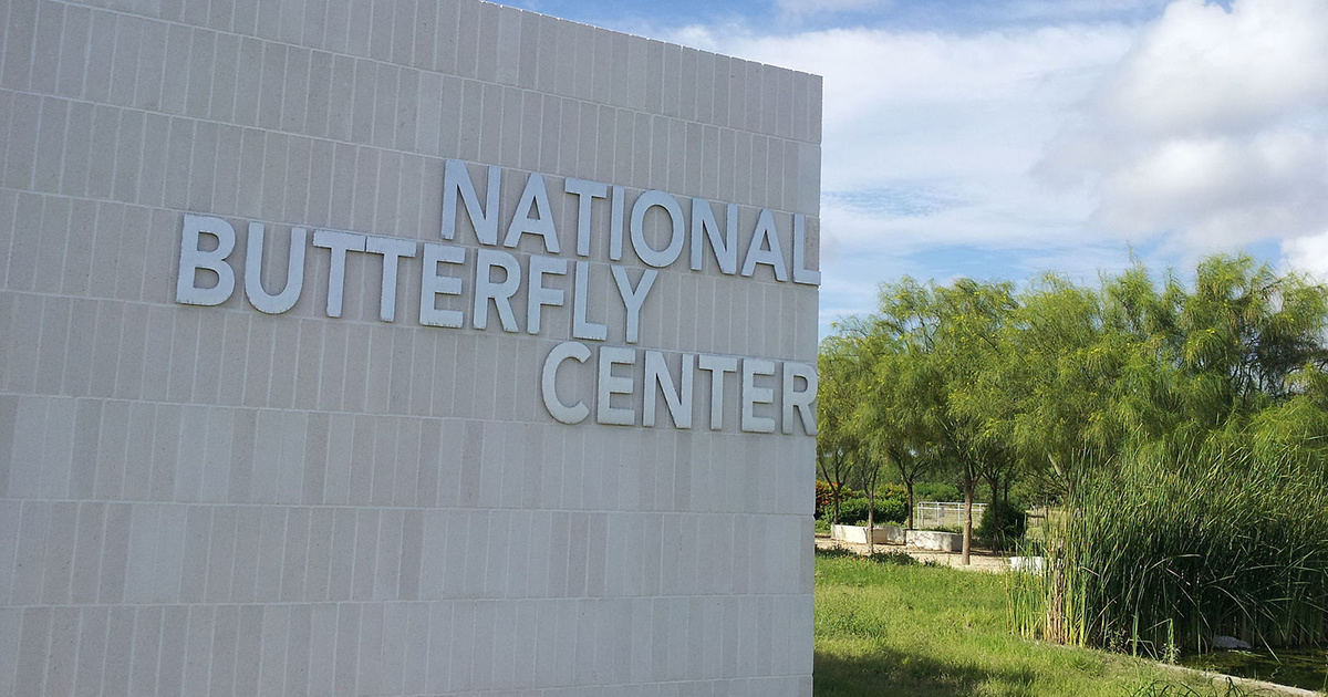 Most Diverse Butterfly Center in the U.S. to be Bulldozed for Trump’s Border Wall - EcoWatch