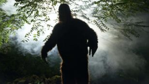 Could a ‘Bigfoot Hunting Season’ Promote Tourism and Wildlife Protection?