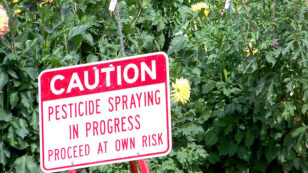 Pesticides Cause ‘Catastrophic’ Harm to People and Planet, UN Report Says