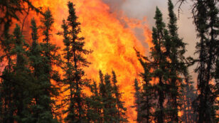 Disastrous Wildfires Sweeping Through Alaska Could Permanently Alter Forest Composition