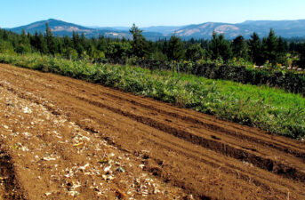 Soil Management: Key to Fighting Climate Change?