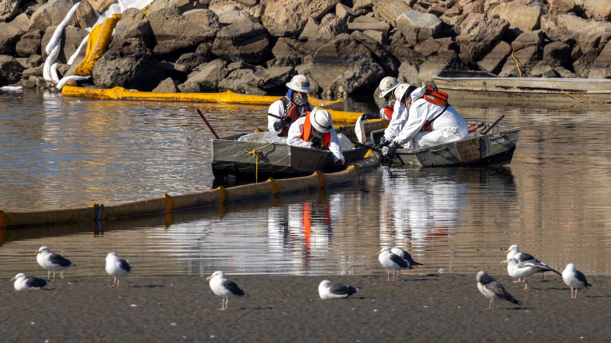 <wbr />Workers in boats try to clean up floating oil near gulls.