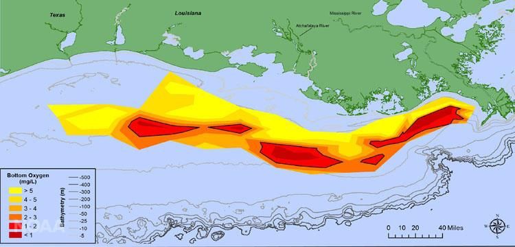A map of the measured Gulf of Mexico hypoxia zone.
