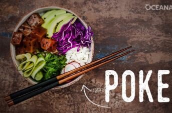 Watch: Poke Bowls Are Trendy, But Are They Sustainable?