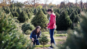 5 Ways to Have a Green Christmas (and Help the Planet)