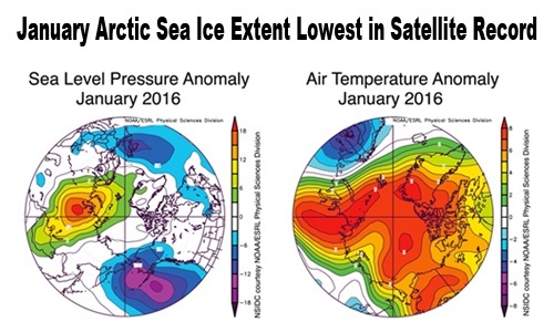 Arctic Sea Ice Levels Hit Record Low After Unusually Warm January