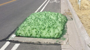 Mysterious Green Foam Bubbles Up From Sewer in Utah