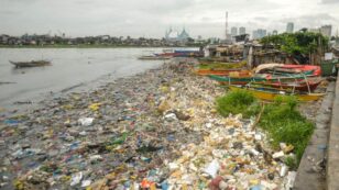 Ocean Plastic Pollution Flows From More Rivers Than Previously Thought