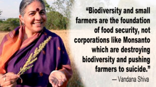 Vandana Shiva: Small Farmers Are Foundation to Food Security, Not Corporations Like Monsanto