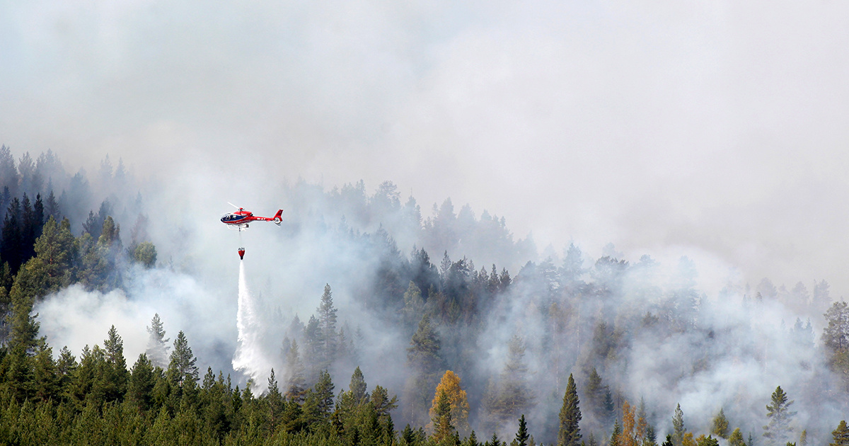 The Arctic Is Burning: Wildfires Rage from Sweden to Alaska