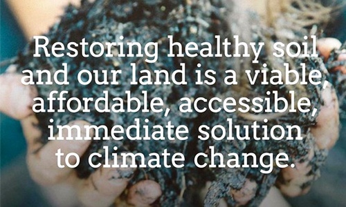 How World Leaders Can Solve Global Warming With Regenerative Farming