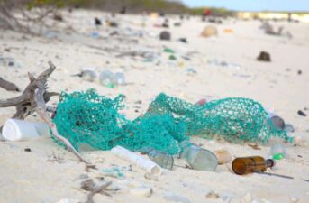 Do Beach Cleanups Really Make a Difference?