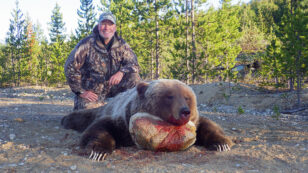 British Columbia Bans Grizzly Bear Trophy Hunting