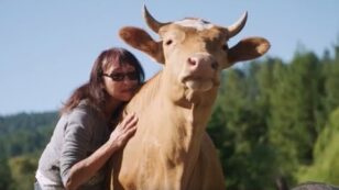 The Dairy Revolution: Vegan CEO of Miyoko’s Kitchen Is Also Helping Dairy Farmers to Transition