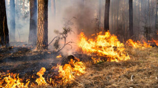 David Suzuki: Wildfires Are a Climate Change Wake-Up Call