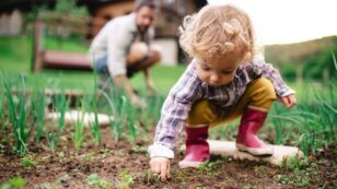 7 Educational Nature Activities for Kids You Can Do at Home This Summer