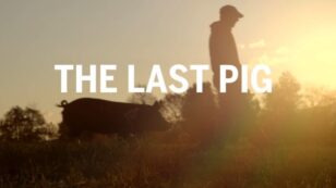 ‘The Last Pig’ Doesn’t Offer Easy Answers on Animal Farming