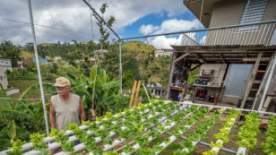 A Local Food Revolution in Puerto Rico