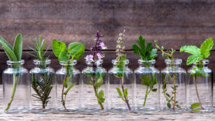 Essential Oils: 7 Common Questions Answered