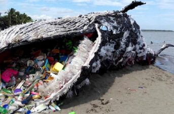 Giant ‘Dead Whale’ Is Haunting Reminder of Massive Plastic Pollution Problem