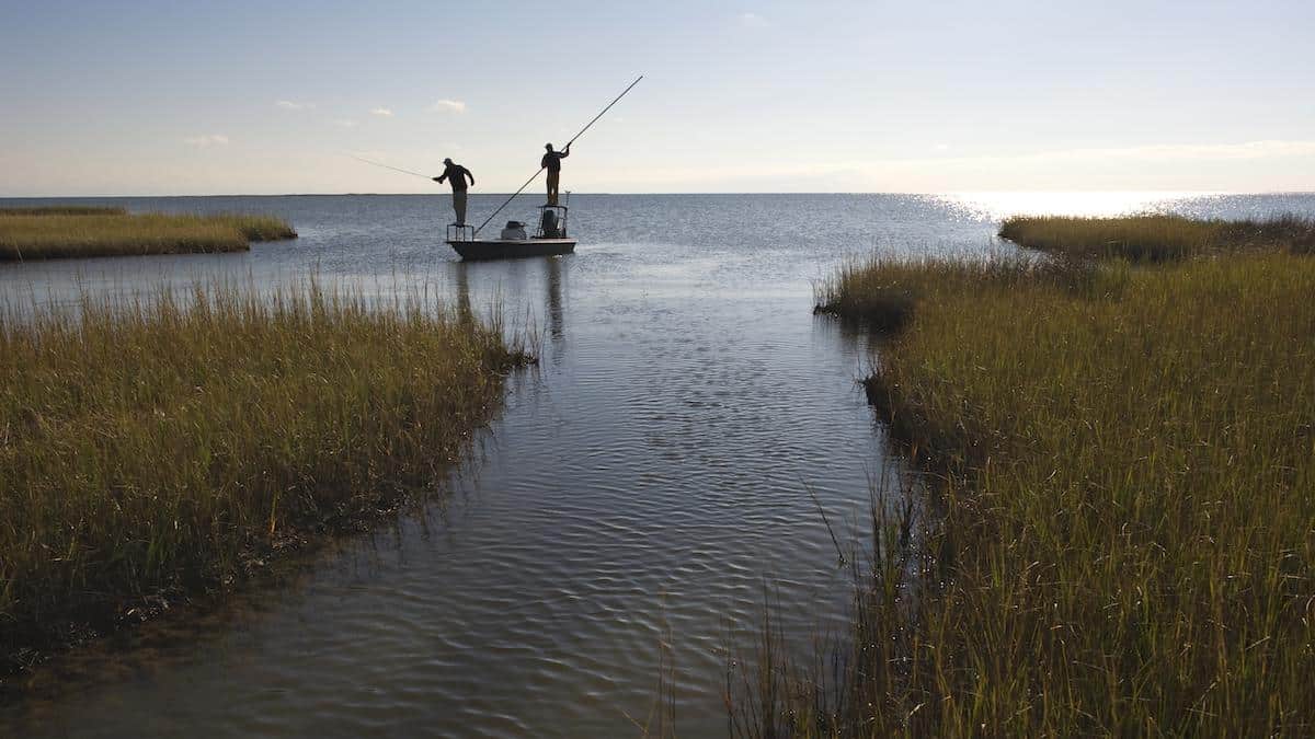 Nearly Half of U.S. Coastal Marshes Are Vulnerable to Sea Level Rise, Study Finds