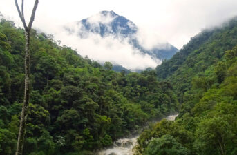 Ecuador Announces New National Park in the Andes