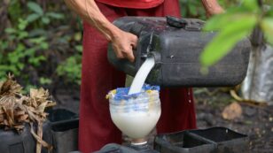 11 Dead, 300 Hospitalized After Drinking Poisonous Coconut Wine