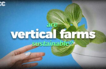 Does Vertical Farming Actually Work?