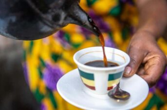 Study: Climate Change Could Impact Your Favorite Cup of Coffee