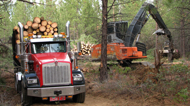 Forest Service Wants to Fast-Track Logging Without Environmental Review