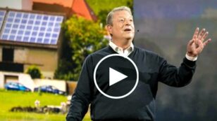 Al Gore: 3 Questions We Have to Answer About Climate Change