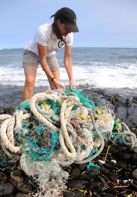 A Single Discarded Fishing Net Can Keep Killing for Centuries - EcoWatch