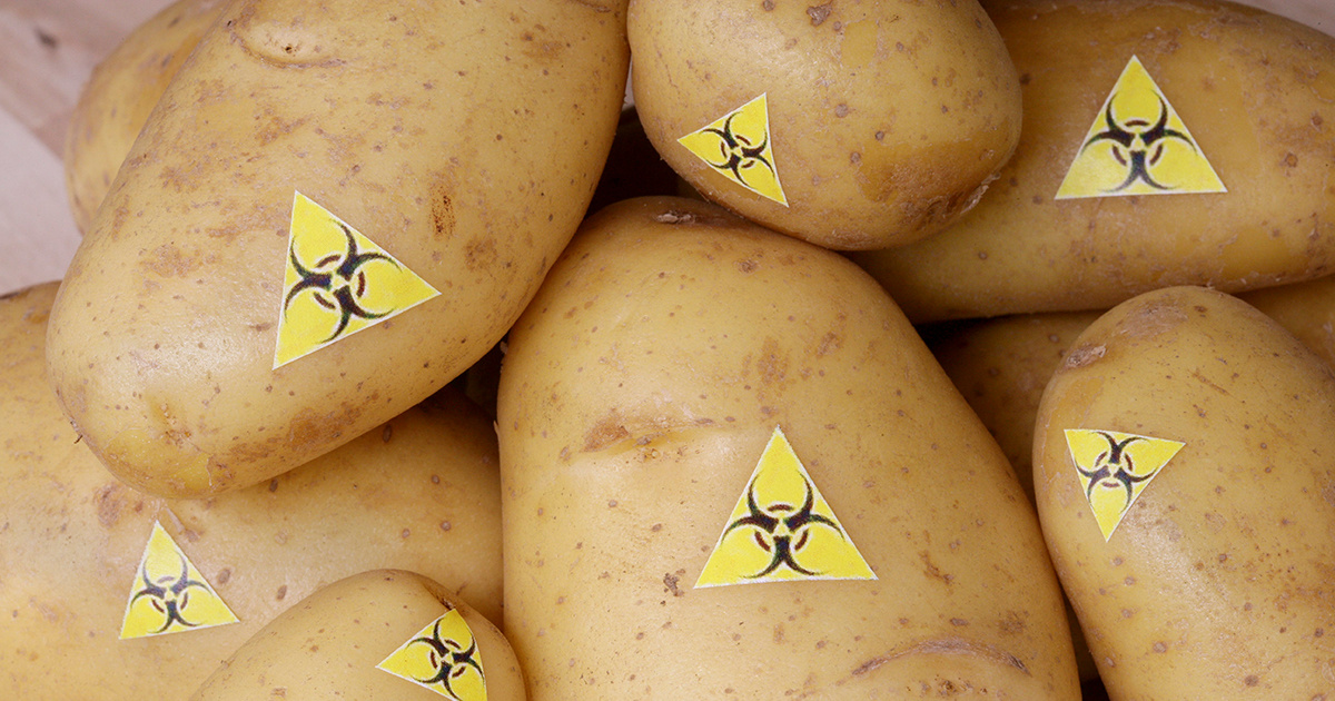 GMO Potato Creator Now Fears Its Impact on Human Health - EcoWatch