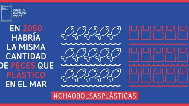 Plastics Industry Loses Legal Bid Against Chile’s Landmark Bag Ban