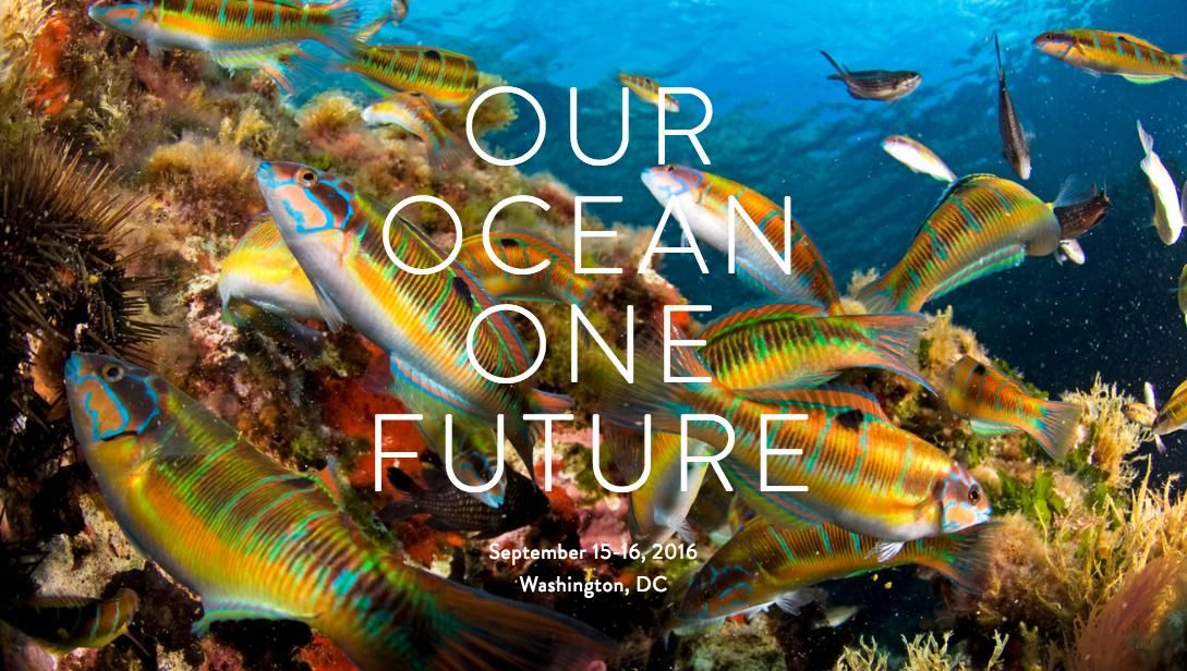 Our Ocean Conference Confronts Ocean's Biggest Threats EcoWatch