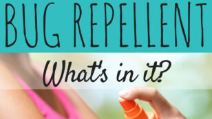 6 Things You Should Know About Bug Repellent