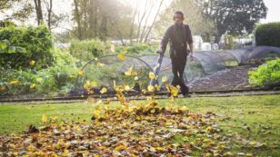 California to Ban Gas-Powered Leaf Blowers and Lawn Mowers