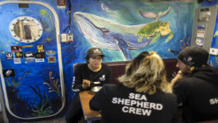 Sea Shepherd Suspends Efforts to Protect Endangered Vaquitas Due to Coronavirus