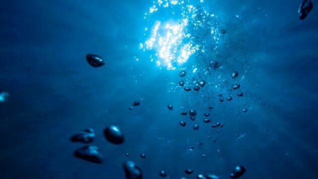 Oxygen Levels in Oceans Plummet as Planet Warms