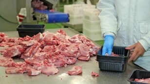 USDA and Meatpacking Industry Collaborated to Undermine COVID-19 Response, Documents Show