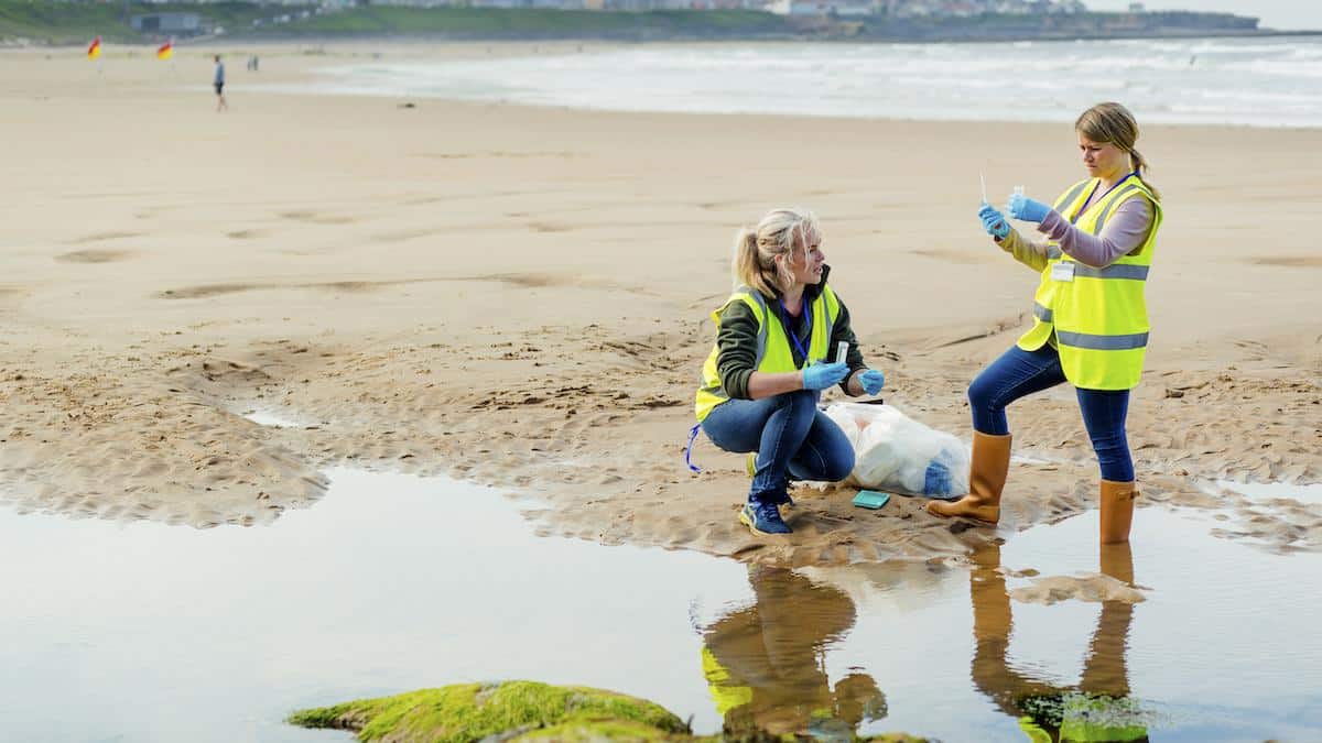 Women collecting samples of water on a beach.