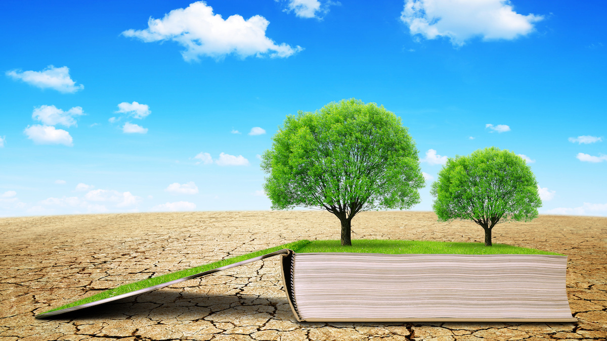 The 10 Best Books On Climate Change, According to Climate Activists
