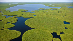 African Wetlands a Major Source of Methane Emissions, Study Finds