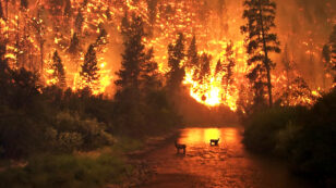 Man-Made Global Warming Root Cause of Relentless Forest Fires