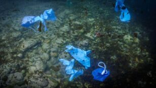 Nearly 29,000 Tons of COVID Plastic Now Floats in the Oceans, Study Finds