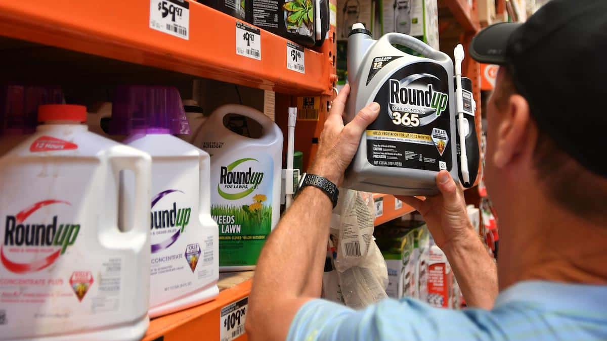 ​A customer shops for Roundup products.