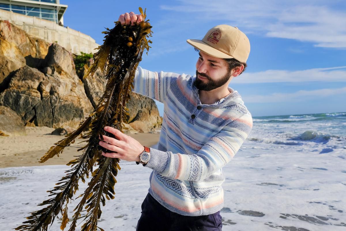 Pat Schnettler, 12 Tides' cofounder, with kelp.
